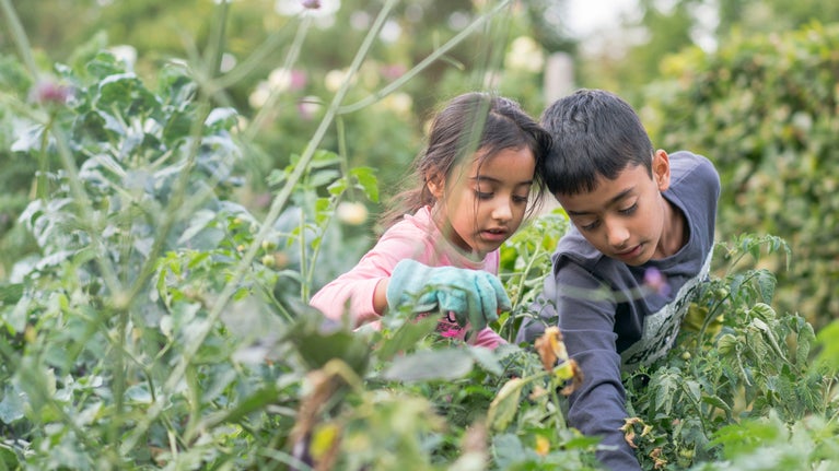 Children learning new gardening skills in urban kitchen gardens